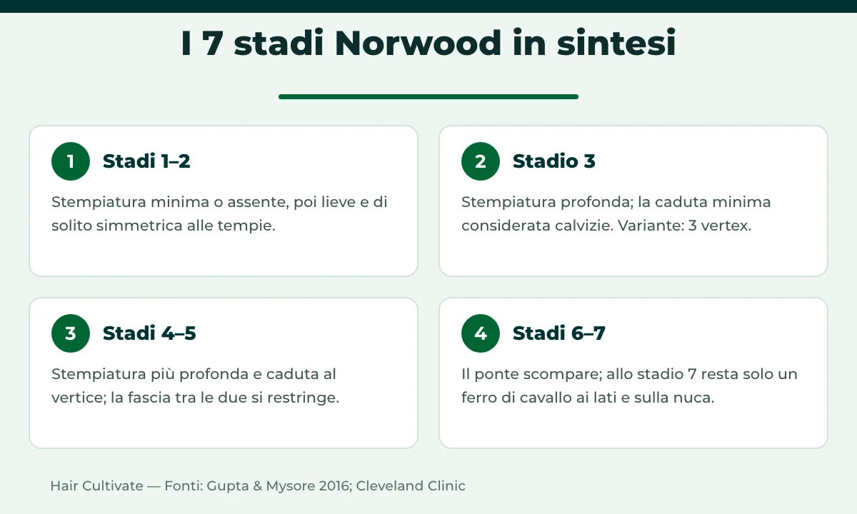 I 7 stadi della scala Norwood per la calvizie maschile