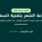زراعة الشعر بتقنية السفير