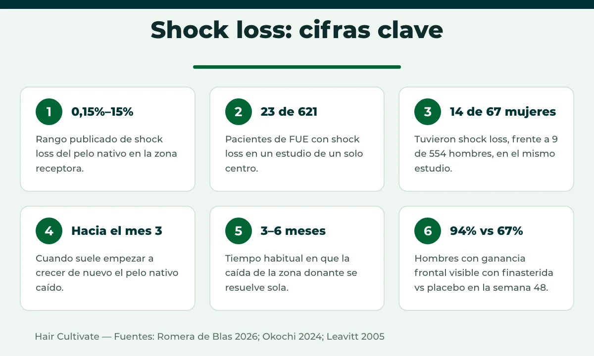 Datos y cifras clave sobre el shock loss después del trasplante capilar