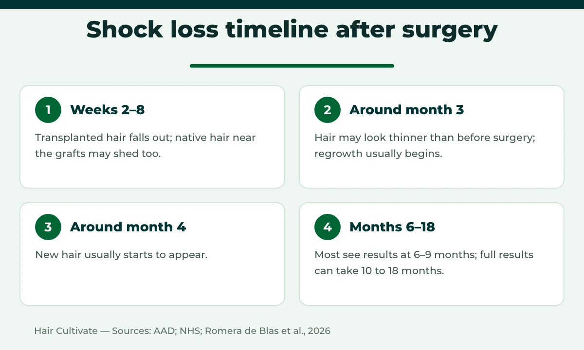 Timeline of shock loss after hair transplant from shedding to regrowth