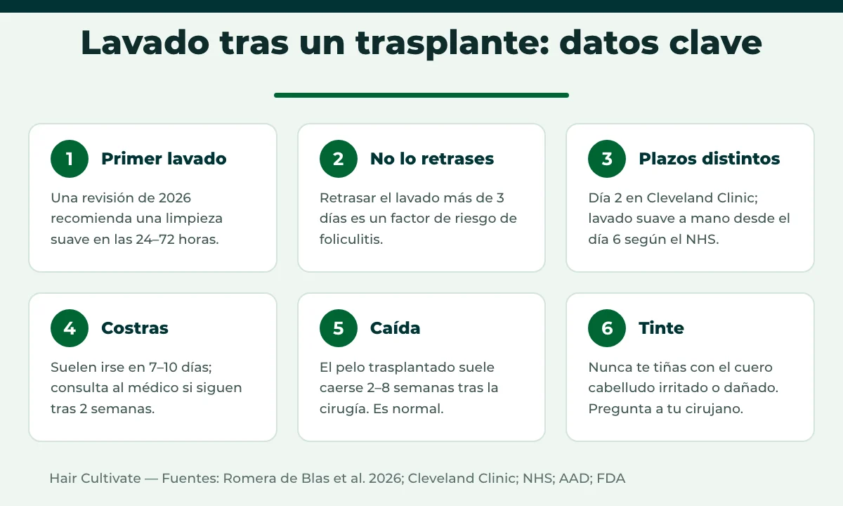 Datos clave y calendario para lavar el pelo después de un trasplante capilar