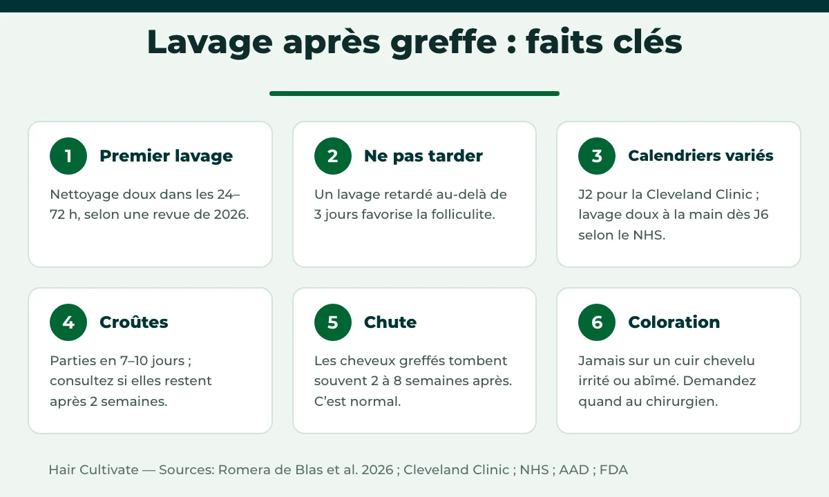 Faits clés et calendrier du lavage des cheveux après greffe