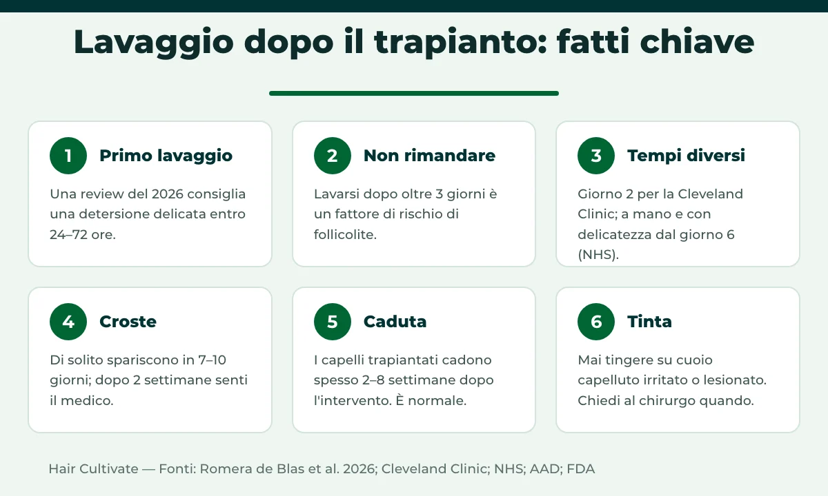 Fatti chiave e tempistiche per lavare i capelli dopo il trapianto