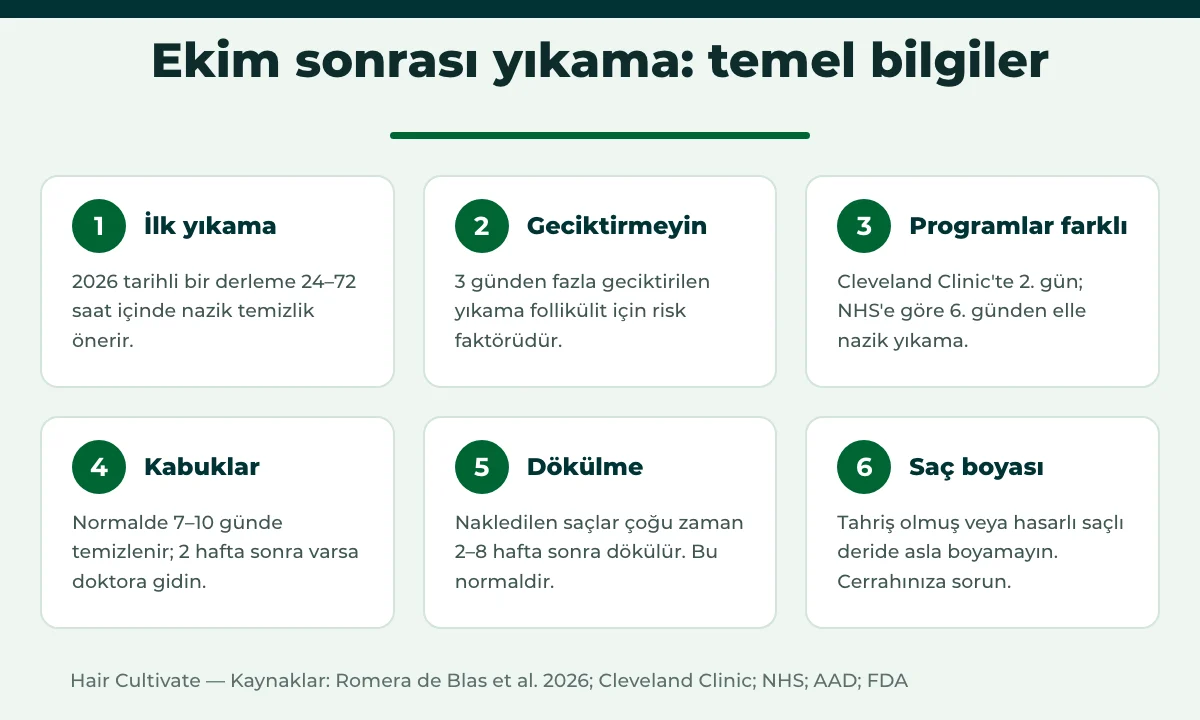 Saç ekimi sonrası yıkama için temel bilgiler ve zaman çizelgesi
