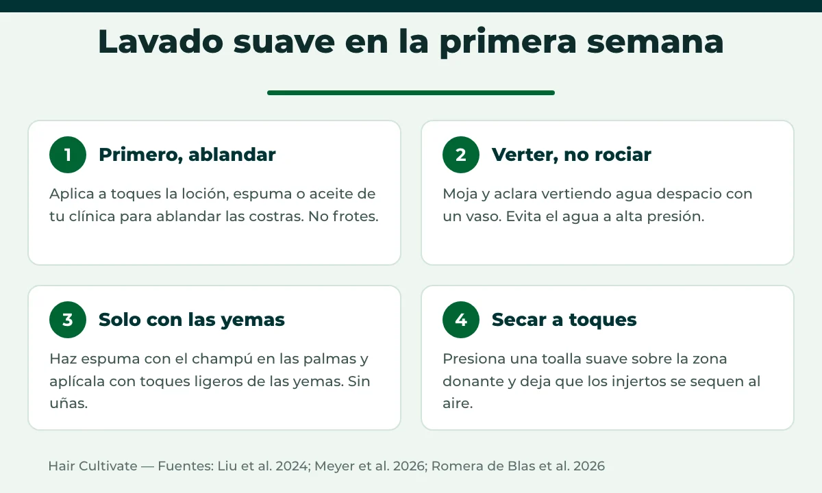 Lavar el pelo después de un trasplante capilar: técnica suave paso a paso