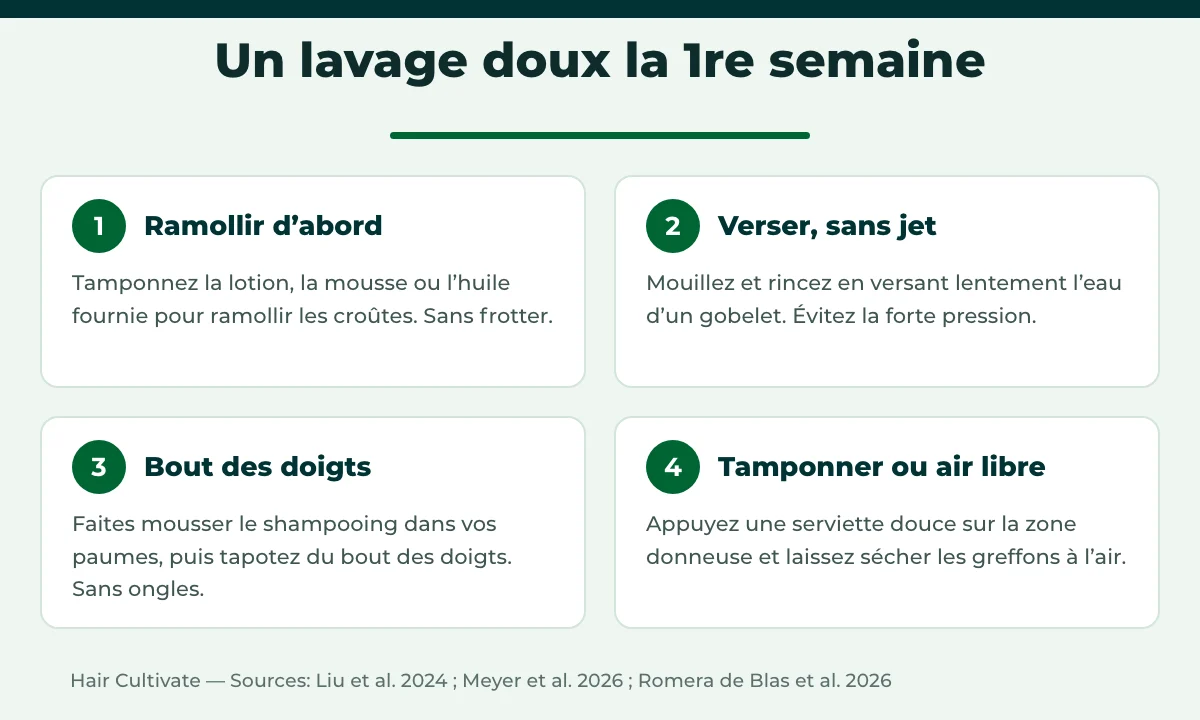 Lavage des cheveux après greffe : technique douce étape par étape