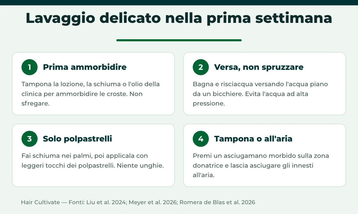 Lavare i capelli dopo il trapianto: tecnica delicata passo dopo passo