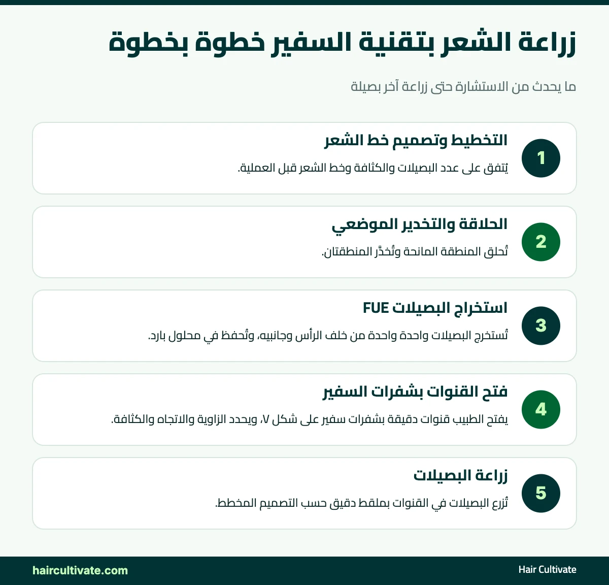 إنفوغراف: خطوات زراعة الشعر بتقنية السفير