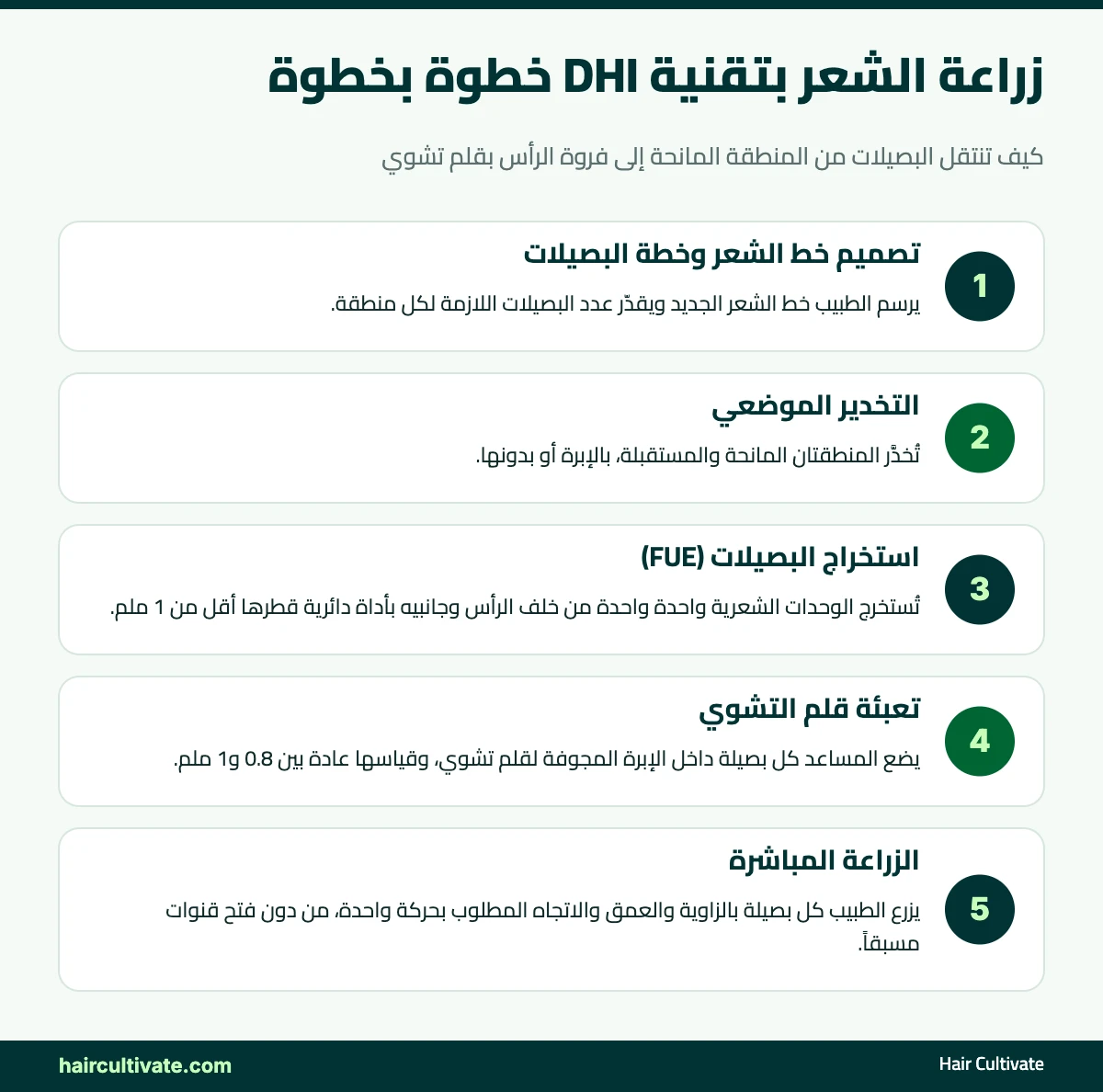 إنفوغراف: خطوات زراعة الشعر بتقنية DHI بقلم تشوي